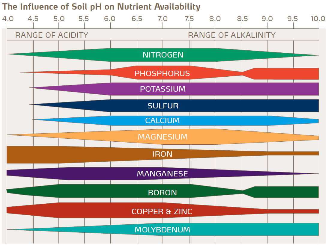 Nutrients available in the soil due to the pH.