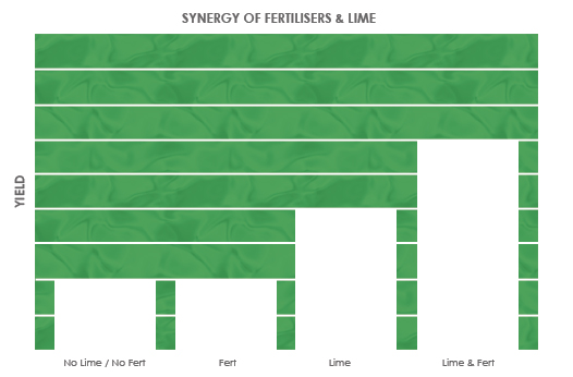 Research is showing that fertilizing your soil is not enough. For best crop yield, you need both White Lime and Fertilisers. Research is showing that fertilizing your soil is not enough. For best crop yield, you need both White Lime and Fertilisers.